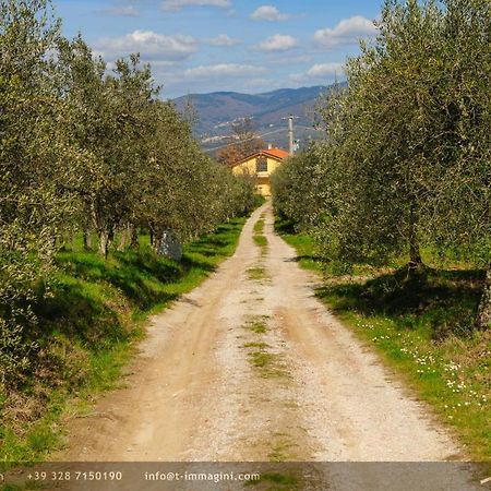 Bioagriturismo Poderaccio Incisa in Val d'Arno Ngoại thất bức ảnh